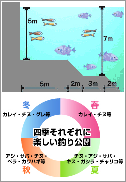海釣り公園情報