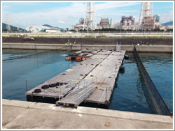 海洋釣り堀貸切について