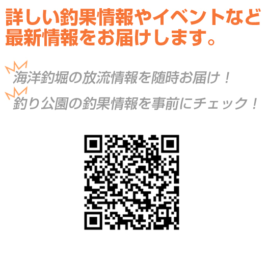 メールマガジン