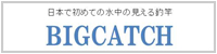 ビッグキャッチ
