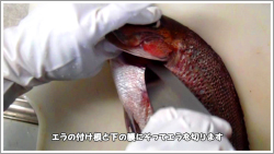 捌き方