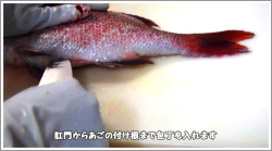 捌き方