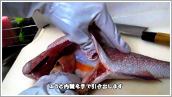 捌き方