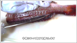 捌き方