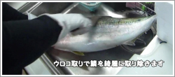 捌き方