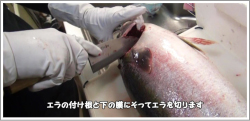 捌き方