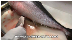 捌き方