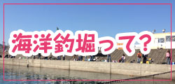 海洋釣り堀最新釣果