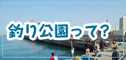 釣り公園の最新釣果
