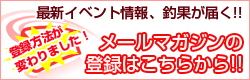 メールマガジン