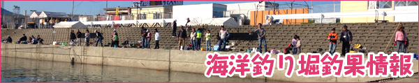 海洋釣り堀釣果情報