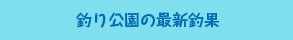 釣り公園の最新釣果