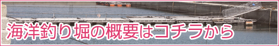 海洋釣り堀釣果情報