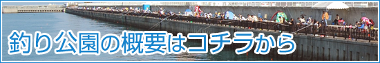 釣り公園釣果情報