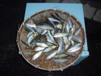 CIMG0866