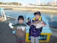 CIMG0882