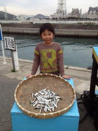 写真