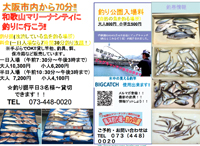 31cd34ab85eeb31343cc71e78fb3341c