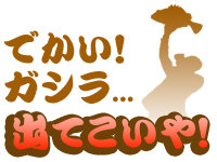 でかい！ガシラ出てこいや！開催！